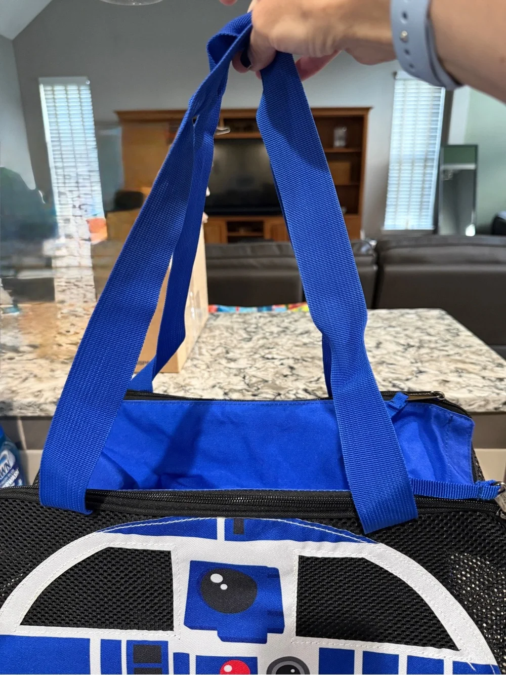 Blue R2-D2 small pet carrier - Star Wars